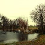 Źródła rzeki Krepianki (fot . arch. Gminy Rzeczniów)