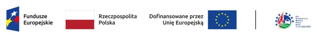 Wiylofundoszewe logo - Fundusze Europejskie, Rzeczpospolita Polska, Dofinansowane przez Unię Europejską
